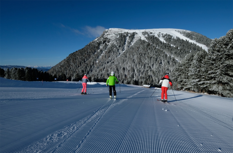 Skigebied Ski Center Latemar
